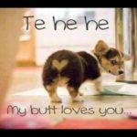 Funny Love Memes Picture