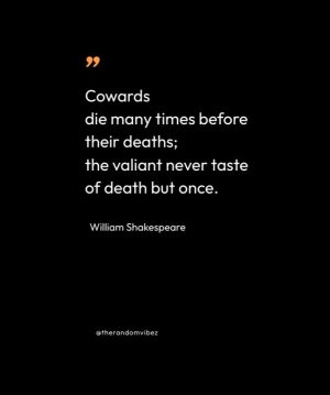 Julius Caesar Shakespeare Quotes