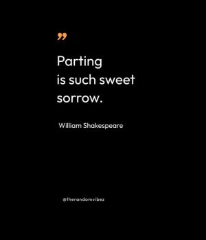 Shakespeare Quotes Romeo and Juliet