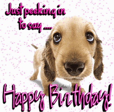 happy birthday images Dog
