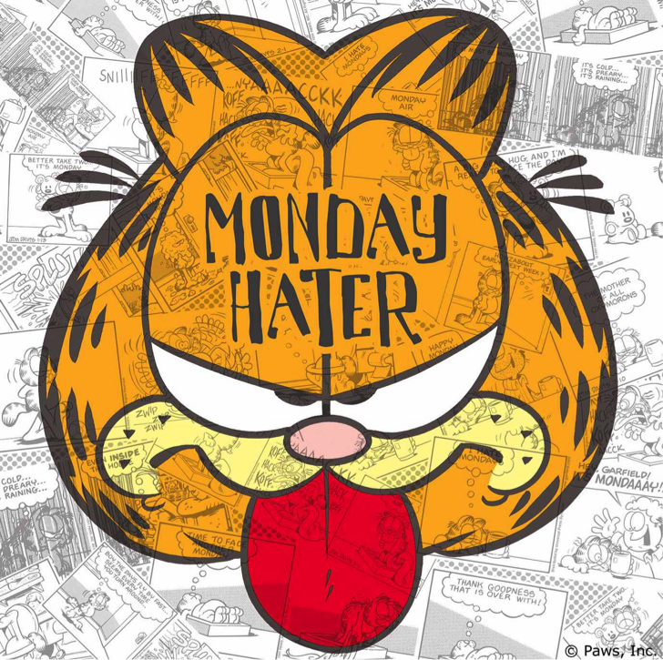 Best Garfield I Hate Mondays Wallpaper Image