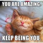 Encouraging Cat Meme