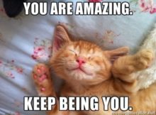 Encouraging Cat Meme