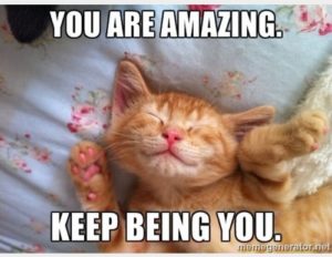 Encouraging Cat Meme