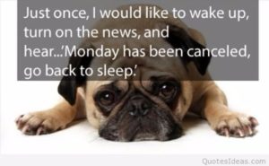 Funny Monday Motivational Quotes