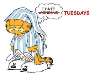 Garfield Hates Mondays Pictures