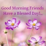 Have a great blessed day Quotes
