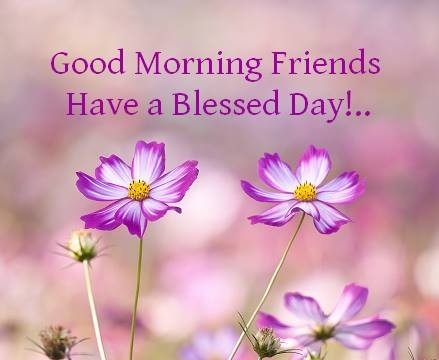 Have a great blessed day Quotes