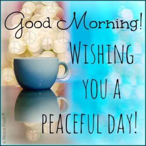 Have a great day quotes on pinterest