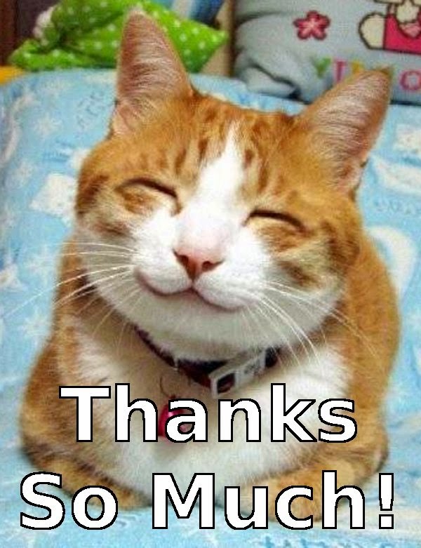 cat_thanks