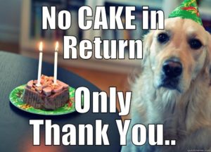 Thank you Birthday Meme dog