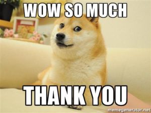 thank you doge meme