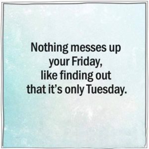 Best Tuesday Morning Funny Quotes