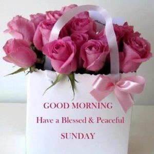 Blessed Sunday Quotes Images
