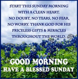 Good Morning have a Blessed Sunday