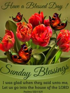 Have Blessed Sunday
