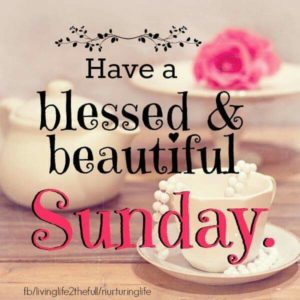 Have a Blessed Sunday