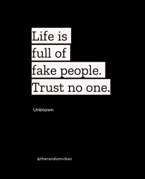I trust no one Quotes