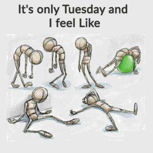 Tuesday Morning Funny Memes
