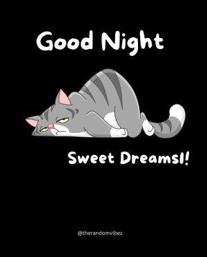 Cute good night cartoon image