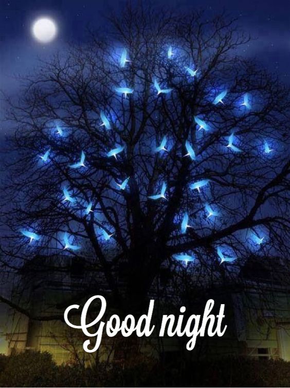 70+ Beautiful Good Night Images, Pictures and More
