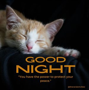 cute good night pics