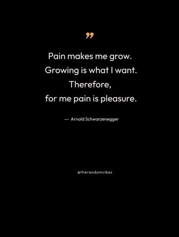 Arnold Schwarzenegger Quotes Pain Growth