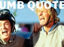 Dumb Quotes
