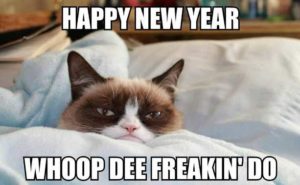 Happy New Year Cat Meme 2018