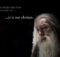 Albus Dumbledore Quote