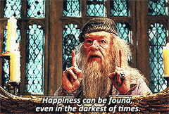 Dumbledore Quotes Happiness