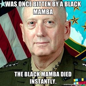 General Mattis Meme