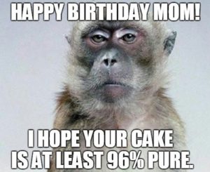 Happy Birthday Memes Mom