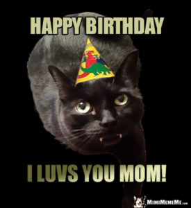 Happy Birthday Mom Cat Meme