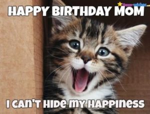 Happy Birthday Mom Meme