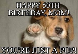 Happy Birthday Mom Memes Dog