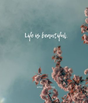 Beautiful Life Quotes