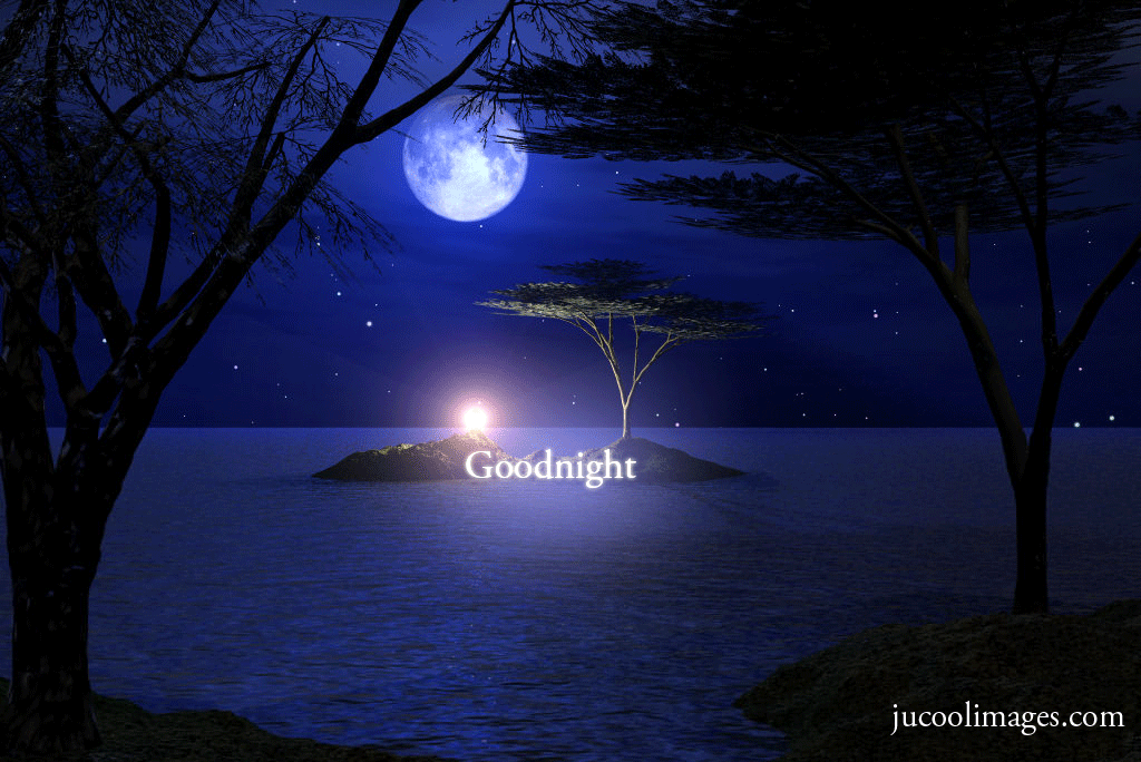 Good Night GIF Animated