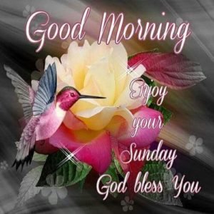 Good morning Sunday Quotes Wishes