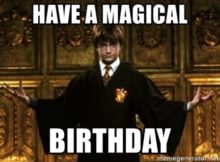 30+ Funniest Harry Potter Birthday Meme for Potterheads