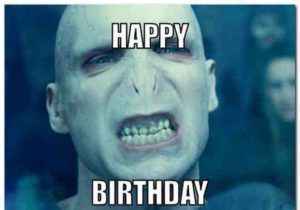 Harry Potter Birthday Memes