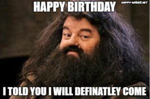 Harry Potter Happy Birthday Meme Hagrid