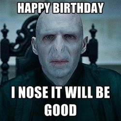 Harry Potter Happy Birthday Meme