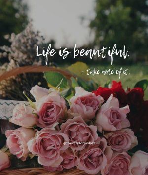 Inspirational Life is Beautiful Quotes