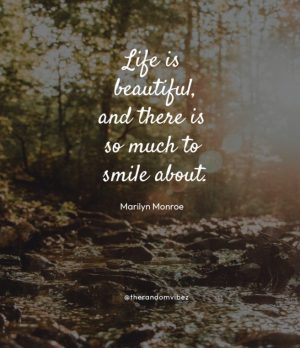 Life is Beautiful Quotes