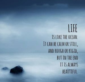 Life is Beautiful Quotes and Sayings