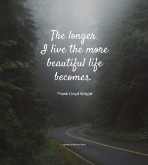 Life is Beautiful Sayings