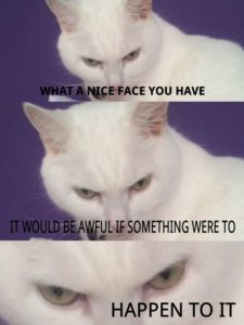 White Cat Meme Face