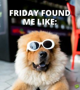 Thank God It's Friday Quotes Funny