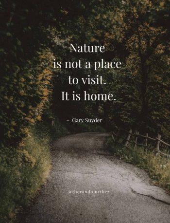 mother nature quotes